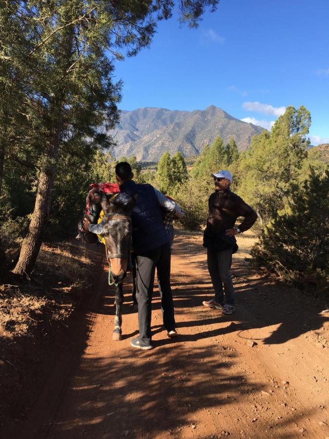 Отель Kasbah De Уирган Экстерьер фото